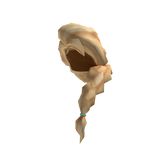 Fairy Tale Princess Braid