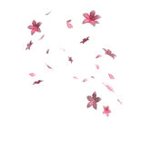 Falling Blossoms