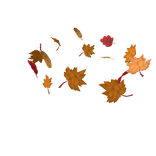Falling Fall Leaves