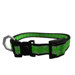Fancy Green Canine Collar