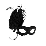 Feathered Masquerade Half Mask in Black