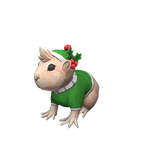 Festive Guinea Pig