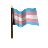 Flag: Transgender