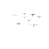 Flock of Attack Seagulls