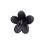 Flower Snack Black