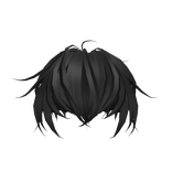 Fluffy Black Styled Hair