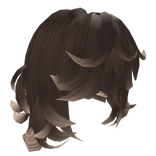 Fluffy Layered Shaggy (Ombré)