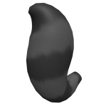 Fluffy Raccoon Tail