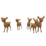 🦌 Forest Deer Group 🦌