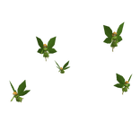 🧚 Forest Fairy Group 🧚