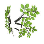 🦋 Forest Fairy Wings 🦋