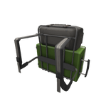 Free Extra Flight Bag