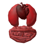 Fresh Interior (Skeleton)