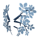 ❄️🦋 Frost Fairy Wings 🦋❄️