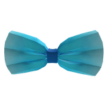 Frozen Ice Bowtie