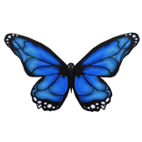 Giant Blue Butterfly Wings