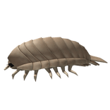 Giant Isopod (Back Accessory)