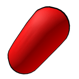 Giant Red Sus Bean