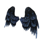Giant Wings of Darkness