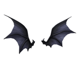 Gigantic Bat Wings