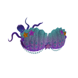 Glitter & Pearl Mermaid Shells