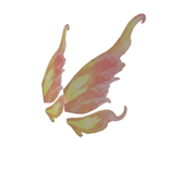 Golden Fairy of Autumn