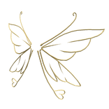 Golden Fairy Wings