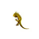 Golden Shoulder Iguana