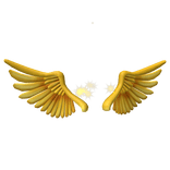 Golden Sparkling Wings