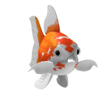 Gold/White Goldfish