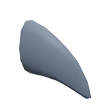 Great White Shark Fin