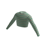 Green Brown Striped Crop Top