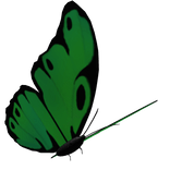 Green Butterfly Pet