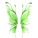 Green Enchanted Fairy Wings