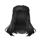 Half Up Braids in Black