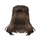 Half Up Braids in Brown