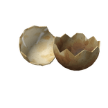 Hatched Walking with Dinosaurs Super Egg