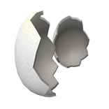 Hatching Chicken Egg Shell