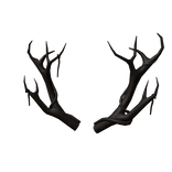 Hollowed Antlers
