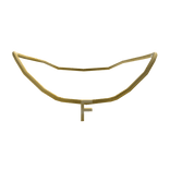 Initial Necklace: F 
