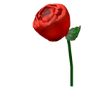Lapel Rose