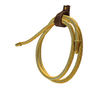 Lasso of Truth - Wonder Woman