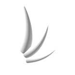 Left Shoulder Spikes of Light