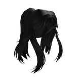 Long Black High Set Pigtails
