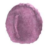 Long Fluffy Afro Pink