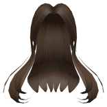 Long Popular Girl Hair Brown