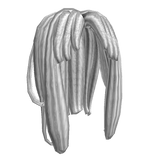 Long White Locs w/ bangs