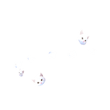 Low Poly Cute Cat Confetti