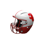 Lua Lions Football Helmet