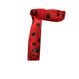 Lucky Ladybug Scarf
